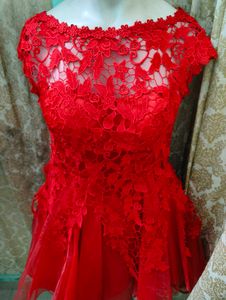Red Lace Mini Dress