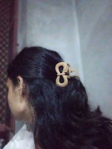 Butterfly Hair Claw Clip