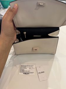 ⭐️ALDO⭐️ Classic handbag Matte Chain