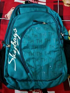Skybags Backpack