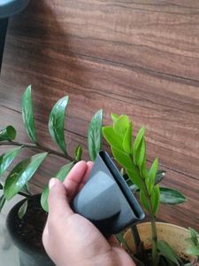 Agaro Hair Dryer