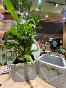 Cement Pot Heart Design SET OF TWO