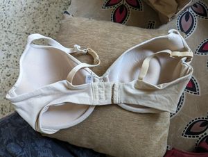 Padded Imported Quantity 2 Bras