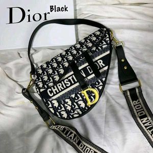 Dior Saddle