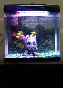 BluePet Fish Aquarium 🐟