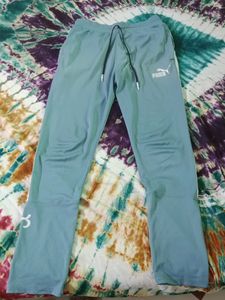 New Pant