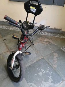 BSA Roamer Kids Bicycle