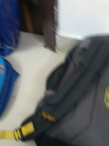 Skybags School Bag