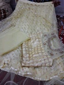 Elegant Lehenga Choli Set