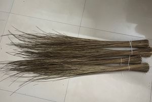 Natural Broom Grass