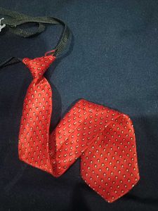 Kids Tie