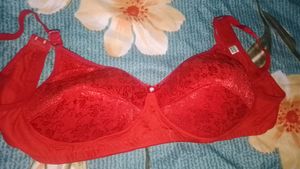 Cotton Padded Bra