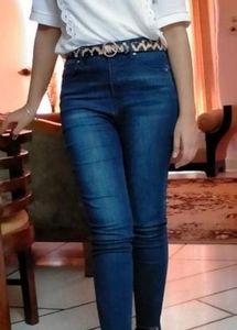 Belt For Women Animal Print