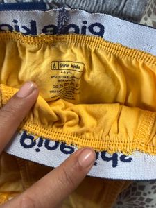 Pine Kids and Bodycare Boys' Briefs - 10 Used