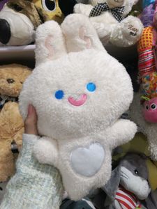 Teddy