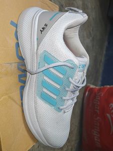 Casual Wear Shoes