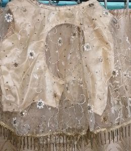 Beautiful Backless Golden Blouse With Pochu