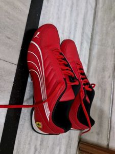 Puma Ferrari Theme Sneakers With Box