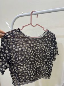Sheer Crop Top