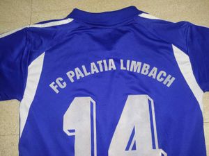 Adidas Blue Jersey