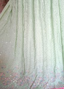 Mint Green Lehenga Choli 😻