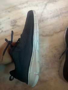 Skechers Super Comfortable N Original Branded Men
