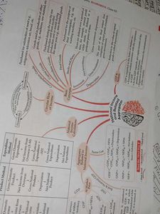 12th Economics, Mind Maps And On Tips Notes