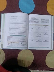 Compacta English 5