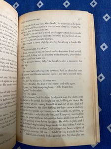 Novel