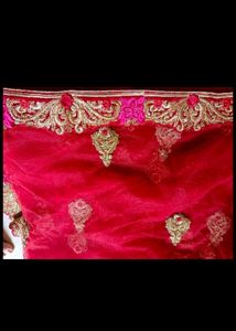 Gorgeous Lehenga Choli
