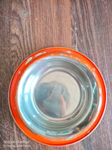 Pet Feeder Bowl