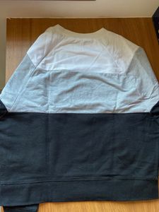 GAP Color Block Sweatshirt