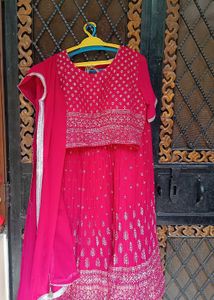 Red Embroidered Lehenga Skirt