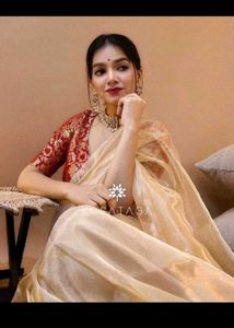 Organza Beige Saree