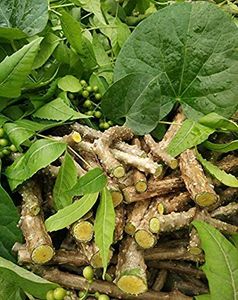 5 Giloy Stem,15 Cmगिलोय/गुच्चबेल herbal Plant/Medicine Use For Kada .5 Stems Of Giloy
