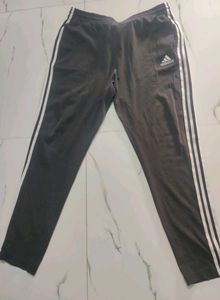 Adidas Original Black Track Pant