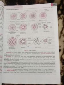 Companion Biology Class 11th Vol.1 &amp;2