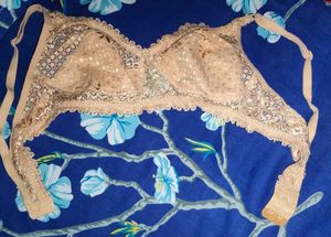 Lingerie Net Lace Bra (40/100)(Non-padded)