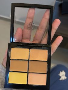 PAC Concealer Palette - Go Medium (Shade)