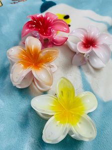 Flower Hair Claw Big Size Combo Of 4 🌸