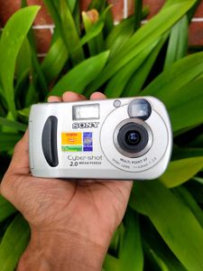 SONY CYBERSHOT DSC-P31 Digital Camera