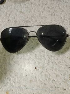 Modern Sunglasses