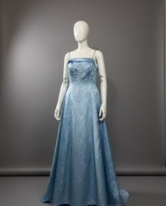 Elegant Blue Ethnic Gown
