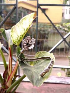 Silver Bangle Bracelet And Earring set