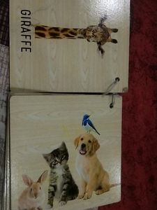 Educational Game For Kids