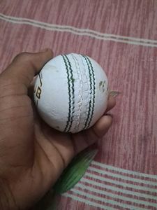 a cricket ball club level for professional