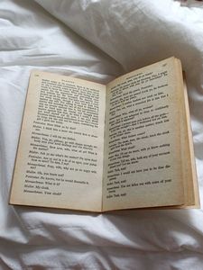 Shakespeare The Comedy Of Errors