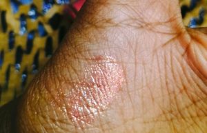 Chocolate Brown Top + Shimmer gloss lipstick