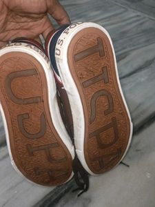 Brown Casual Sneakers