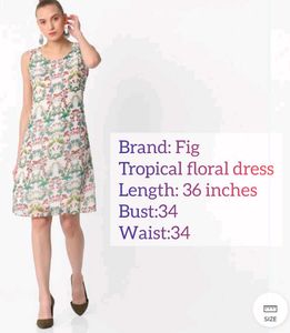 Dresses For Rs.99 Only/ Branded Fig Medium Size
